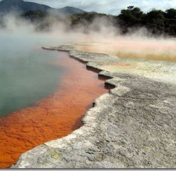http://www.novzelandiya.ru/img/pages/Новая Зеландия – одна из самых экологически чистых стран в мире