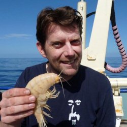 http://www.novzelandiya.ru/img/pages/В Новой Зеландии обнаружена гигантская креветка